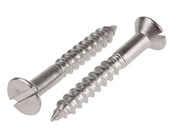 SS Wood Screws